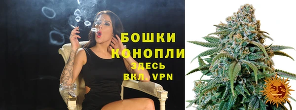 дживик Верхний Тагил