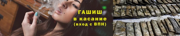 дживик Верхний Тагил
