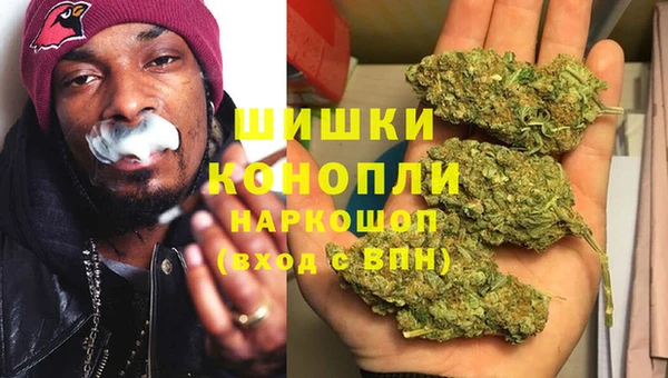 дживик Верхний Тагил