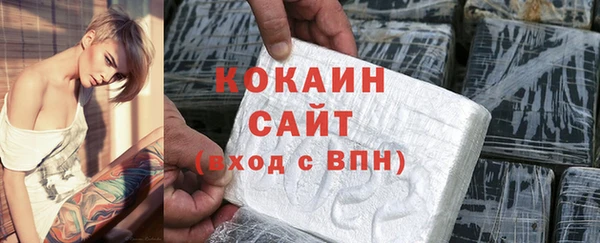 дживик Верхний Тагил