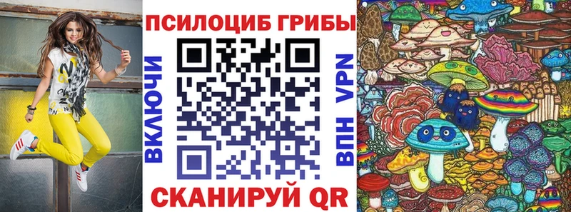 Галлюциногенные грибы Psilocybine cubensis  Верхний Тагил 